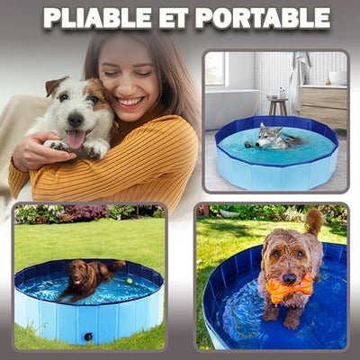 PISCINE POUR ANIMAUX / PET POOLᵀᴹ - Les Coups de Coeurs Canins