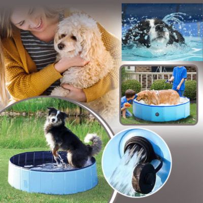 PISCINE POUR ANIMAUX / PET POOLᵀᴹ - Les Coups de Coeurs Canins