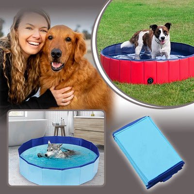 PISCINE POUR ANIMAUX / PET POOLᵀᴹ - Les Coups de Coeurs Canins