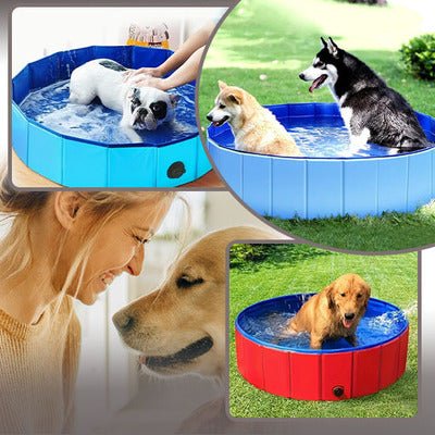 PISCINE POUR ANIMAUX / PET POOLᵀᴹ - Les Coups de Coeurs Canins