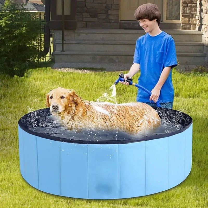 PISCINE POUR ANIMAUX / PET POOLᵀᴹ - Les Coups de Coeurs Canins