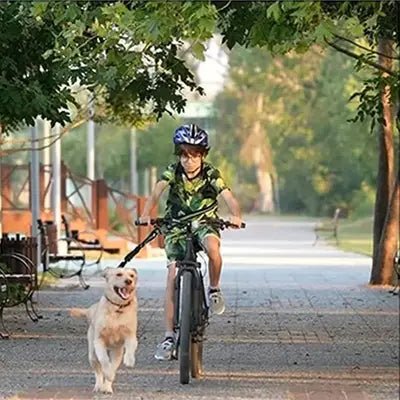 BAG-LAISSEᵀᴹ-Laisse de chien mains libres - Les Coups de Coeurs Canins