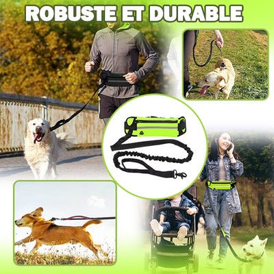 BAG-LAISSEᵀᴹ-Laisse de chien mains libres - Les Coups de Coeurs Canins